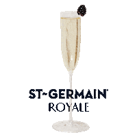 stgermaindrinks cheers happy hour sante spritz Sticker