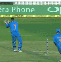 cricket field GIF