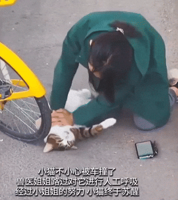 58d4b6a0e8004dd6a499524384e88c9f giphyupload GIF