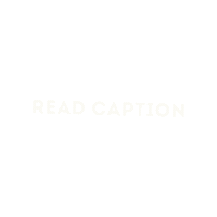 Read Caption Sticker by BeeCat Creative