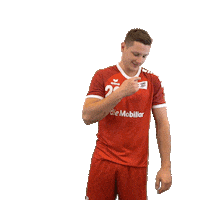 swisshandball_official good win handball goat Sticker