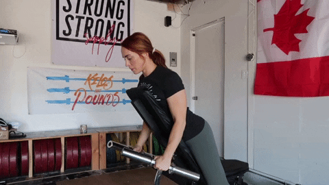 megsquats giphyupload GIF