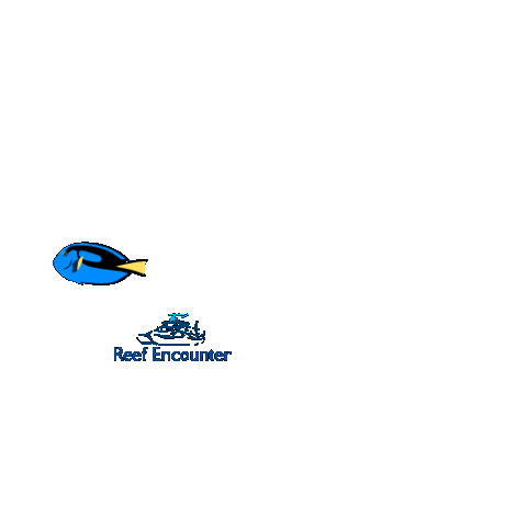 Reef_Experience giphyupload ocean dive diving Sticker