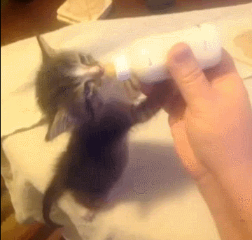 bedtime routine GIF
