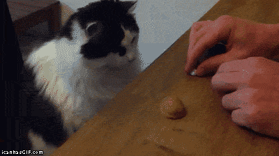smart GIF