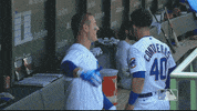High Five Regular Season GIF by MLB