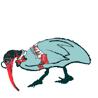 bobercreative illustration bird australia glasses Sticker