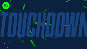 Nfl GIF by Seattle Seahawks