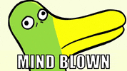 shocked duck GIF by Cartoon Hangover