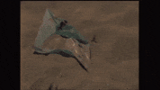 Music Video Sydney GIF by aldn