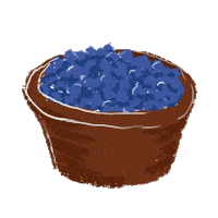 Grow Your Own Plant Sticker