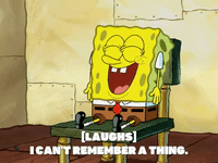 season 5 GIF by SpongeBob SquarePants