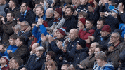 Happy Fun GIF by MolaTV