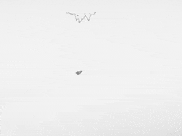 Animation Dog GIF by Jonah Primiano