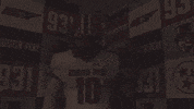 Letsgopeay Asun GIF by Austin Peay Athletics