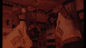 Letsgopeay Asun GIF by Austin Peay Athletics