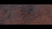 H Choir GIF by Heripus
