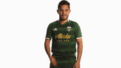 Portland Timbers GIF by Timbers