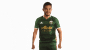 Celebrate Portland Timbers GIF by Timbers