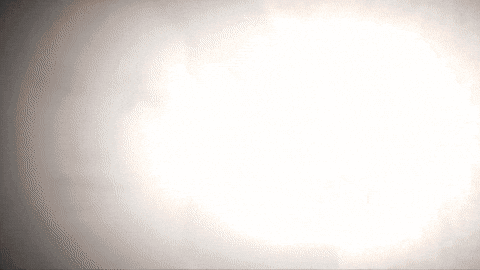 Queen Diva GIF by Rossa Official