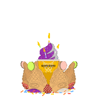 Happy Birthday Sticker by SomiSomi