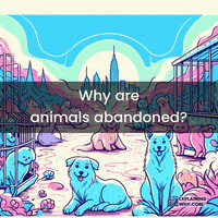 Animal Health GIF by ExplainingWhy.com