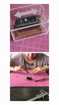 linalopes  GIF