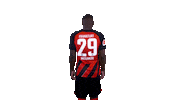 Turn Sge Sticker by Eintracht Frankfurt
