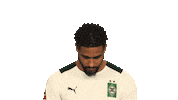 Happy Borussia Moenchengladbach Sticker by Bundesliga