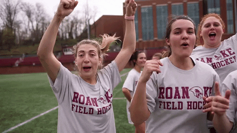 Hype Gameday GIF by Roanoke College