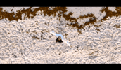 Beach Twirl GIF by iLOVEFRiDAY