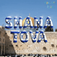 New Year Jewish GIF by Marcel Katz Dalí / The Art Plug