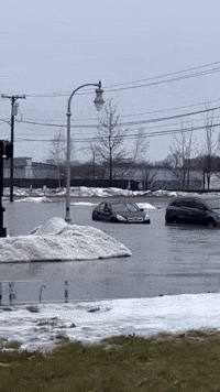 Cars Partially Submerged in Flooding in Portland 