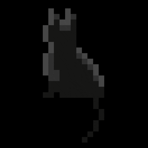 WERC giphyupload GIF