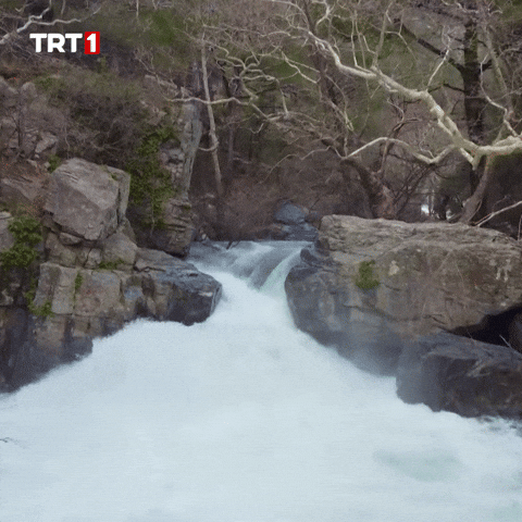 Water Quench GIF by TRT