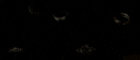 music video rings GIF by Jennifer Lopez