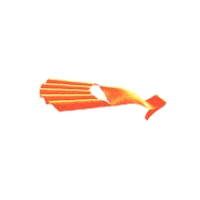 Rosarito Beach Festival Sticker by Baja Beach Fest