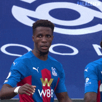 High Five Premier League GIF by CPFC