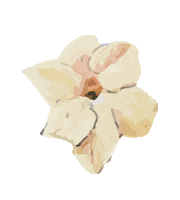 rain flowers Sticker by Luisa Beccaria