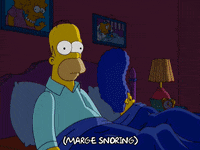 homer simpson episode 6 GIF
