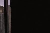 Washington State GIF by 50statesproject