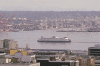 Washington State GIF by 50statesproject