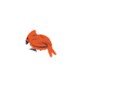 Happy Red Wings Sticker