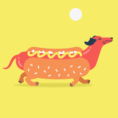 Hot Dog GIF by Jackie Lay