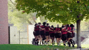 College Sports Rugby GIF by Norwich University