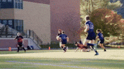 College Sports Rugby GIF by Norwich University