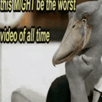 All Time Instagram GIF