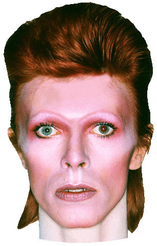 David Bowie Stardust Sticker by Saint Hoax