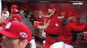 don orsillo GIF