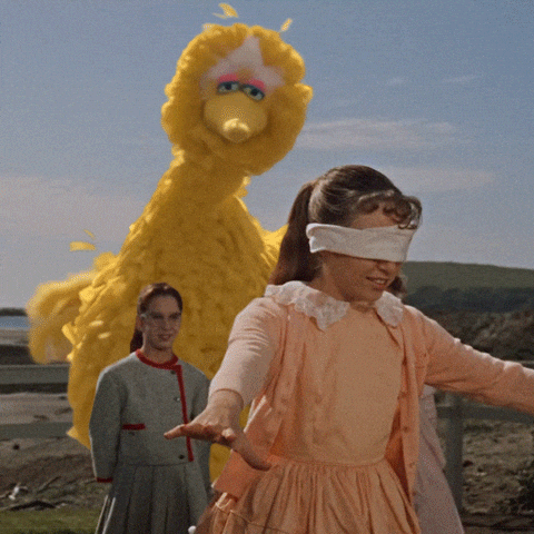 Sesame Street Bird GIF by Bell Brothers